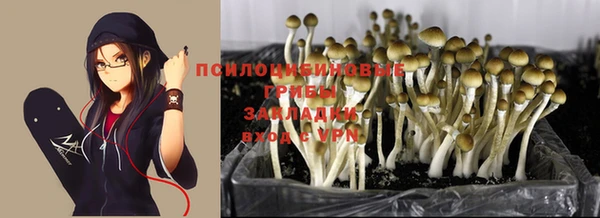 прущая мука Алексеевка