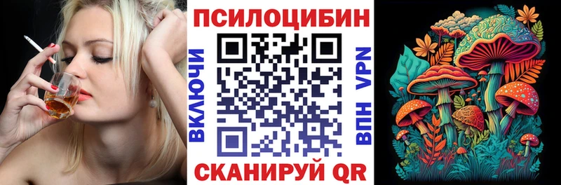 Купить закладки  Власиха  Галлюциногенные грибы MAGIC MUSHROOMS 